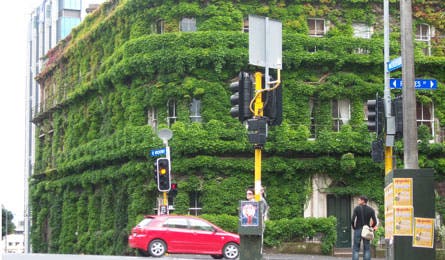 new zealand green building