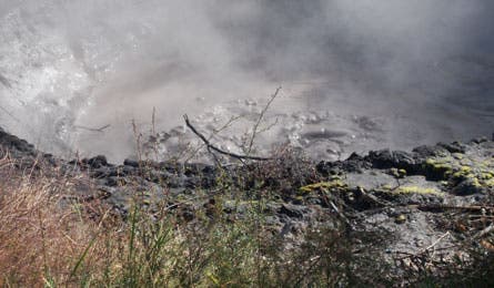 new zealand hot spot