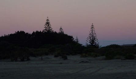 new zealand silouhette