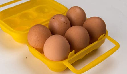 Protect eggs with a sturdy purpose-built case. (A Bydlon)