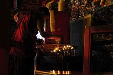 User-Contributed Media 16394 None