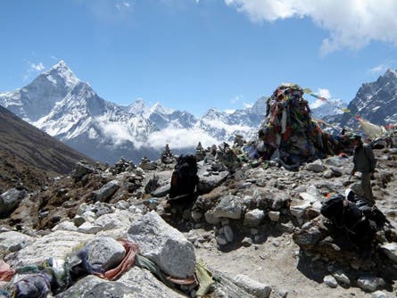 User-Contributed Media 16404 None