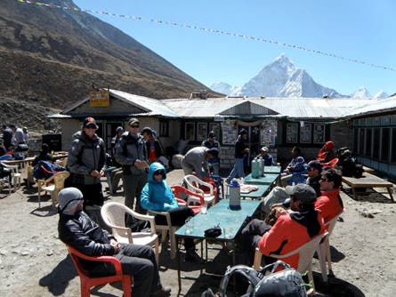 User-Contributed Media 16405 None