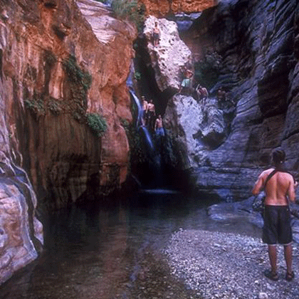 User-Contributed Media 16465 None