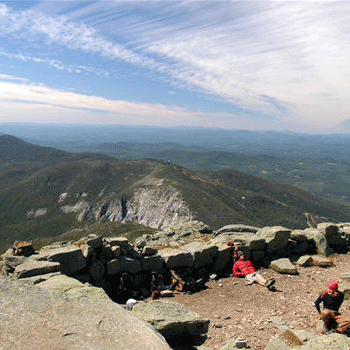 User-Contributed Media 16467 None