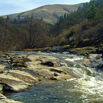 User-Contributed Media 16964 None