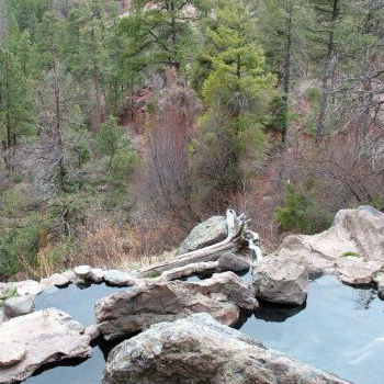 User-Contributed Media 16965 None