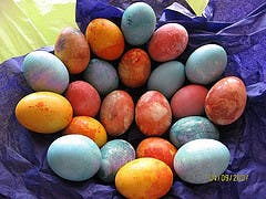 User-Contributed Media 16970 None