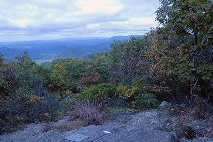 User-Contributed Media 17116 None