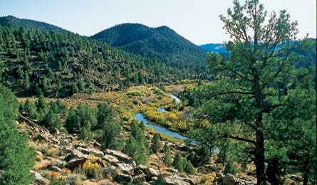 august 07 perfect subs dome land 445x260