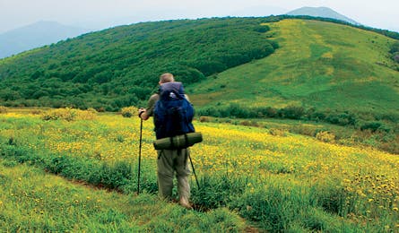 August 07 Perfect Subs Smokies 445x260 17434 august 07 perfect subs smokies 445x260