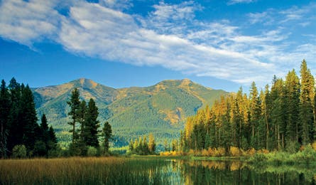 August 07 Perfect Subs Swan Lake 445x260 17435 august 07 perfect subs swan lake 445x260