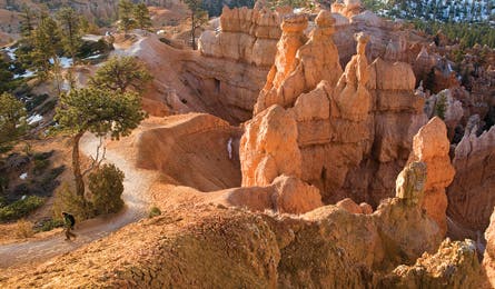 May 09 Dayhikes Navajo 445x260 17395 may 09 dayhikes navajo 445x260