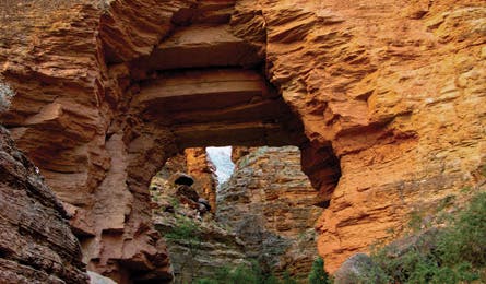 May 09 Grand Canyon Hiking Guide 445x260 17361 may 09 grand canyon hiking guide 445x260