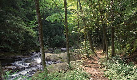 may 09 rip jacks river 445x260