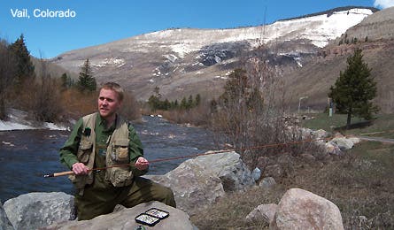 User-Contributed Media 17211 None