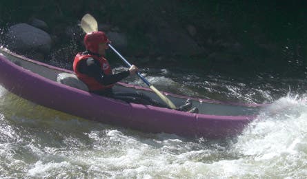 User-Contributed Media 17483 None