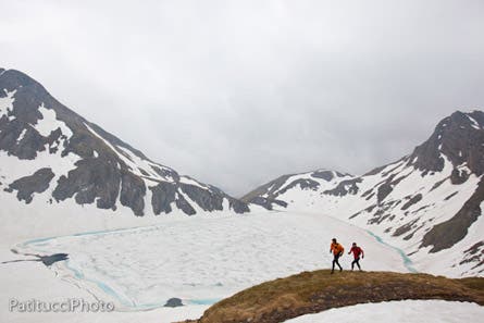 User-Contributed Media 17549 None