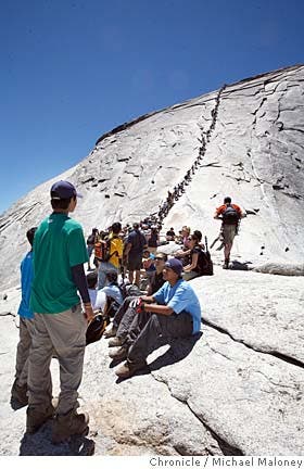 User-Contributed Media 17551 None