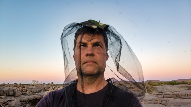 A portrait of a man wearing a headnet with his head surrounded by bugs. Behind him are some roks and an orange and blue sky.