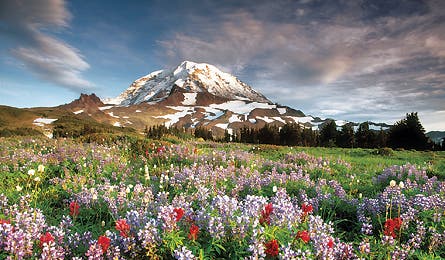 August 09 Mt Rainier Conforth 445x260 17960 august 09 mt rainier conforth 445x260