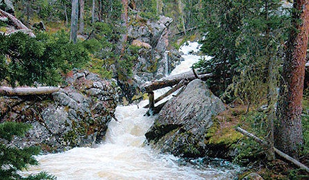 August 09 Rocky Mtn Divide 445x260 18002 august 09 rocky mtn divide 445x260