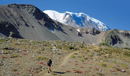 august 09 wonderland trail 445x260