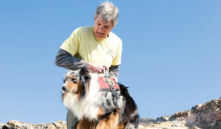 August 09 Yodogs Gus On Belay 445x260 18068 Bigelow holding his dog in a harness