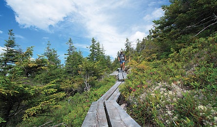 June 09 Hikitsaveit Maine 445x260 17772 june 09 hikitsaveit maine 445x260