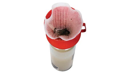 June 09 Rip Bryce Canyon Water Purify Julia 445x260 17750 june 09 rip bryce canyon water purify julia 445x260