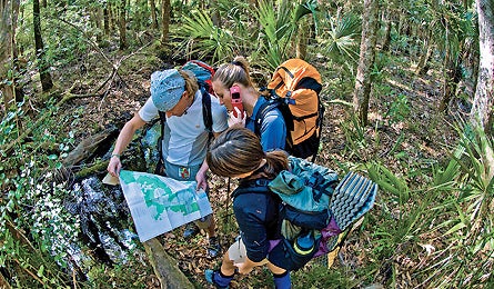 "june 09 save life cell phone 445x260 myers"