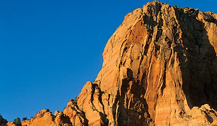 june 09 saved utah 445x260