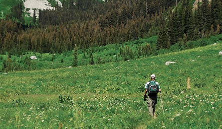 august 09 rip n go spider glacier 445x260