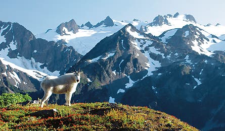 august 09 solitude olympic 445x260