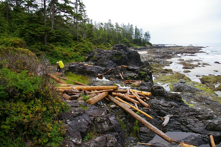 nootka trail None