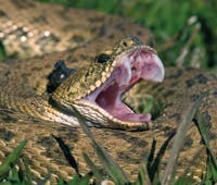 User-Contributed Media 18182 None