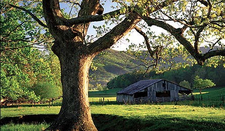 0909 smokies old barn 445x260
