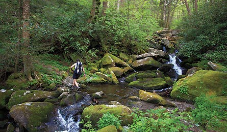 0909 Smokies Small Pools 445x260 18397 0909 smokies small pools 445x260