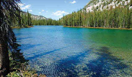 September 09 Loon Creek 445x260 18489 september 09 loon creek 445x260