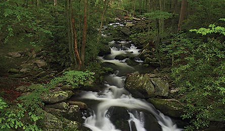 september 09 meigscreek_timseaver 445x260