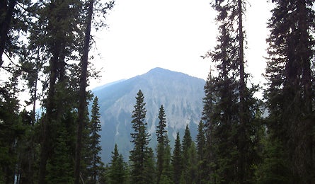 Slideshow Kootenai British Columbia 4 445x260 18431 slideshow kootenai british columbia 4 445x260