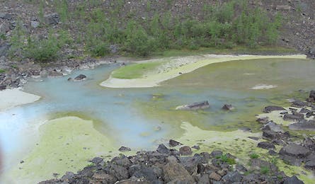 Slideshow Kootenai British Columbia 9 445x260 18436 slideshow kootenai british columbia 9 445x260