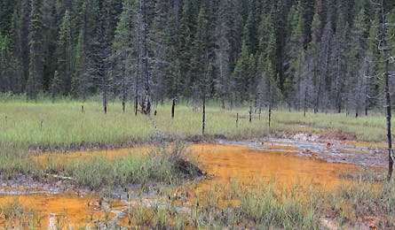 slideshow kootenai british columbia paint pots 12 445x260