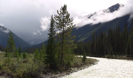 slideshow kootenai british columbia vermillion 13 445x260