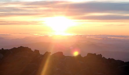 slideshow mt adams lunch counter 11 445x260