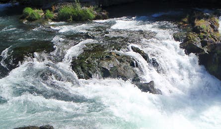 Slideshow Mt Adams Rapids 1 445x260 18455 slideshow mt adams rapids 1 445x260