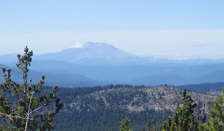 Slideshow Mt Adams St Helens 5 445x260 18459 slideshow mt adams st helens 5 445x260