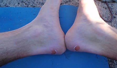 Slideshow Mt Adams10 445x260 18464 slideshow mt adams10 445x260