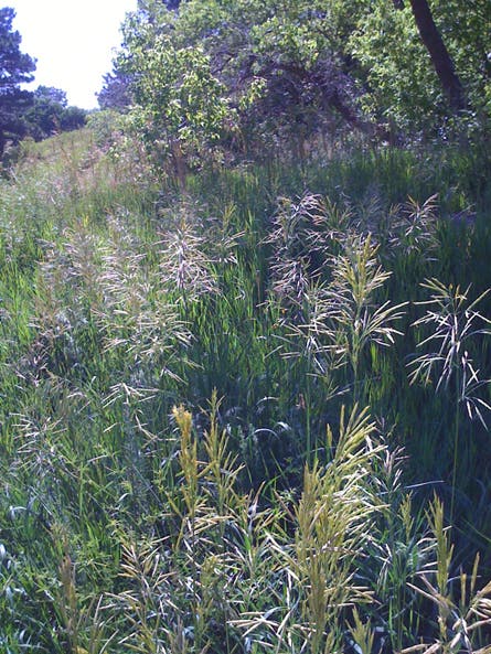 User-Contributed Media 18682 None