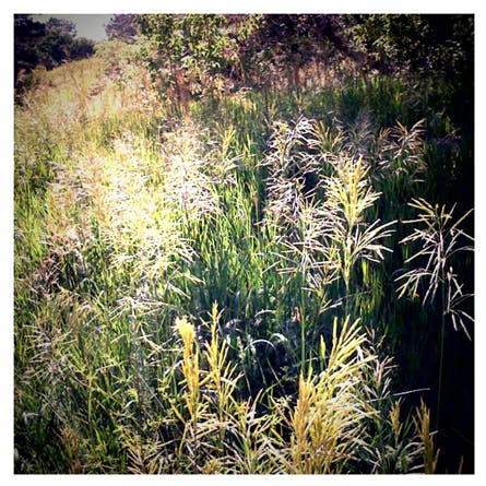 User-Contributed Media 18683 None